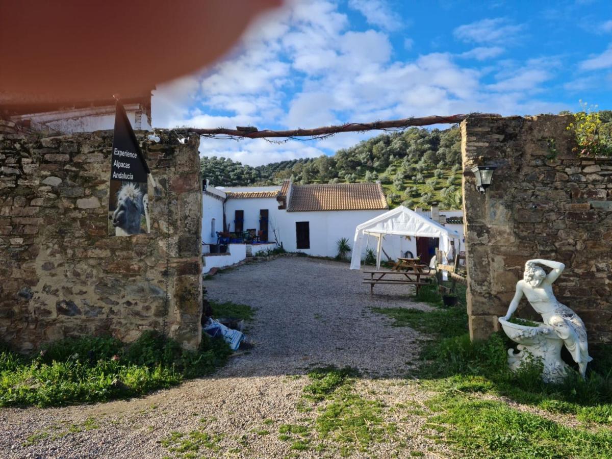 Experience Alpacas In Andalucia Apartment Кордоба Екстериор снимка