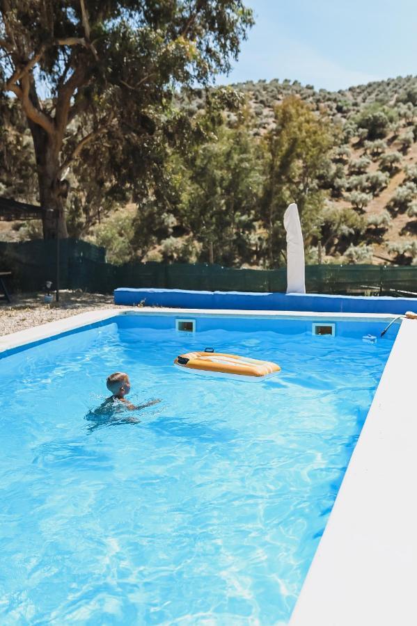 Experience Alpacas In Andalucia Apartment Кордоба Екстериор снимка