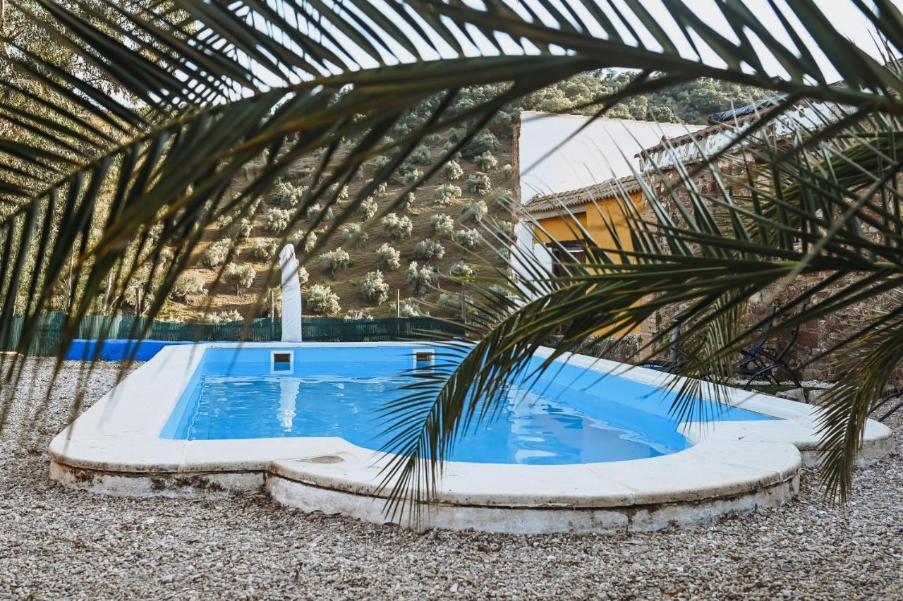 Experience Alpacas In Andalucia Apartment Кордоба Екстериор снимка
