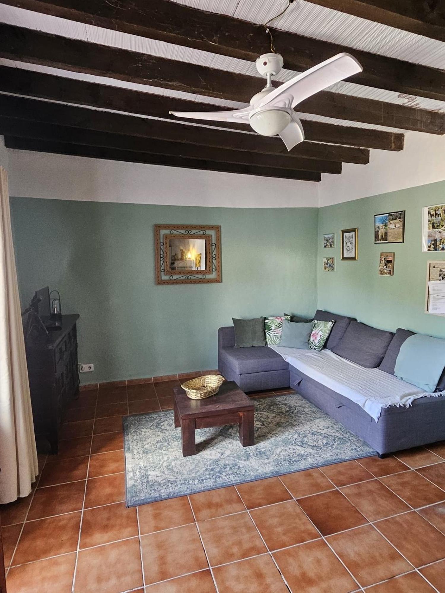 Experience Alpacas In Andalucia Apartment Кордоба Екстериор снимка