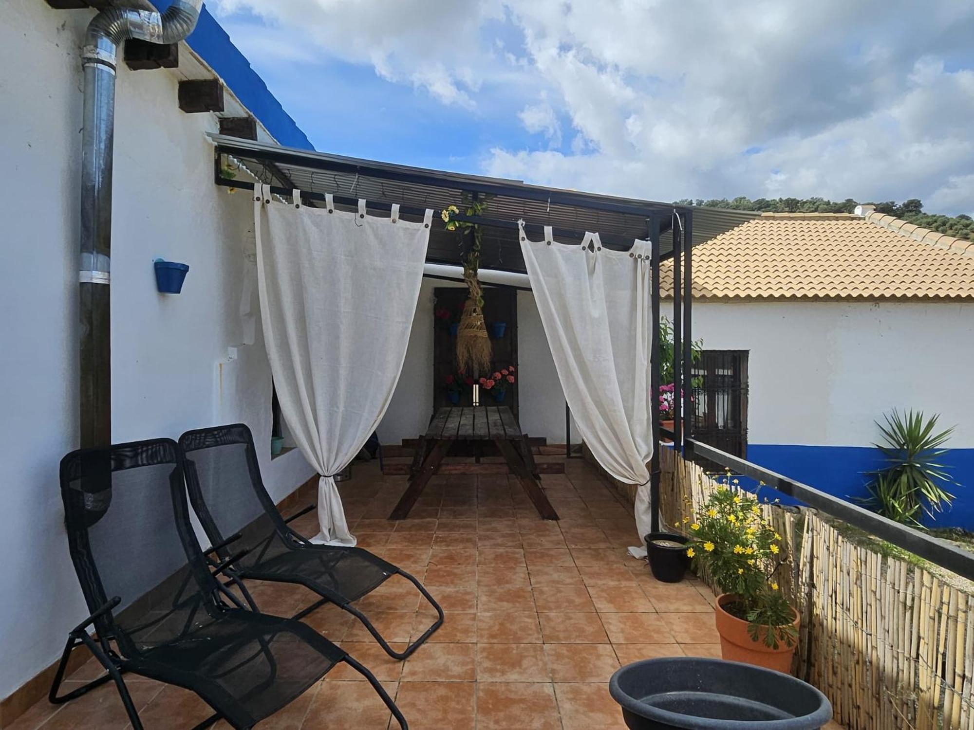 Experience Alpacas In Andalucia Apartment Кордоба Екстериор снимка