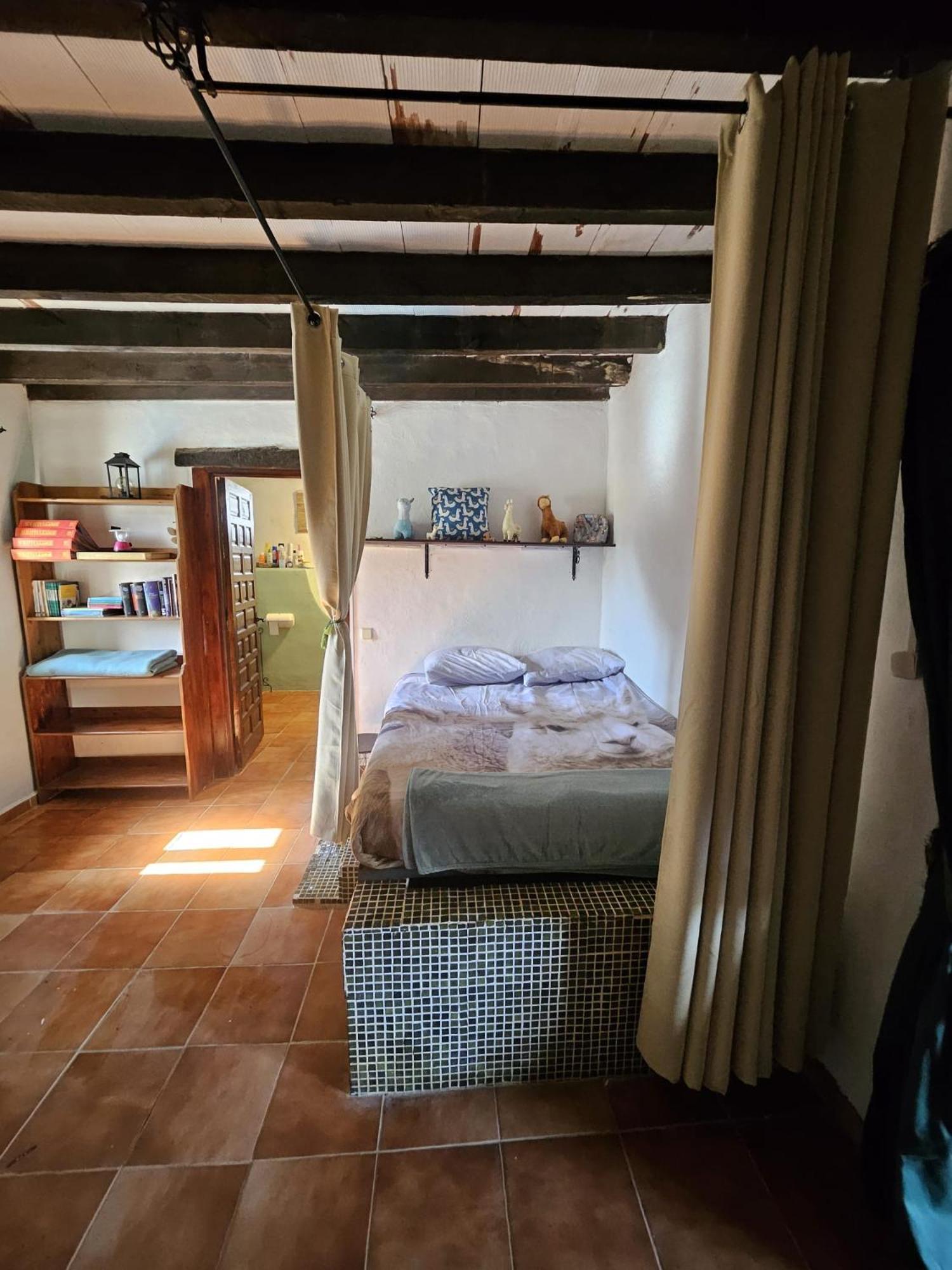 Experience Alpacas In Andalucia Apartment Кордоба Стая снимка