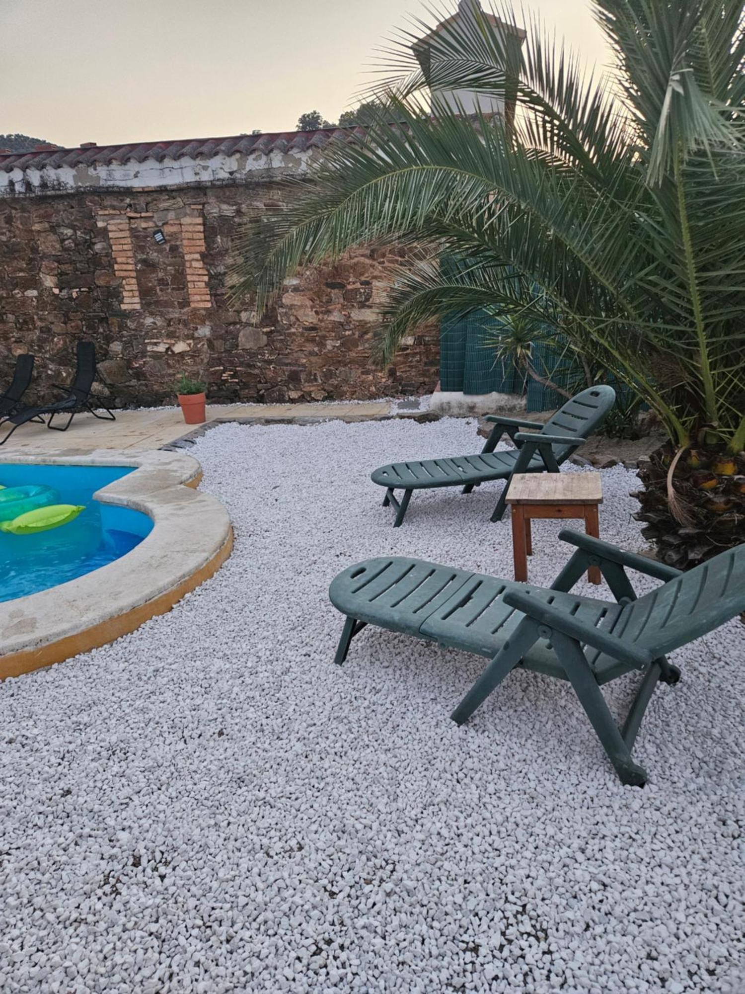Experience Alpacas In Andalucia Apartment Кордоба Стая снимка